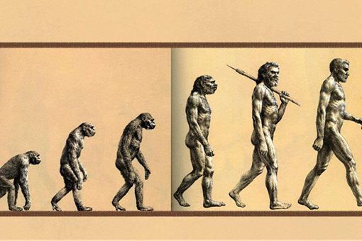 人类根本不是进化来的 人类从何而来