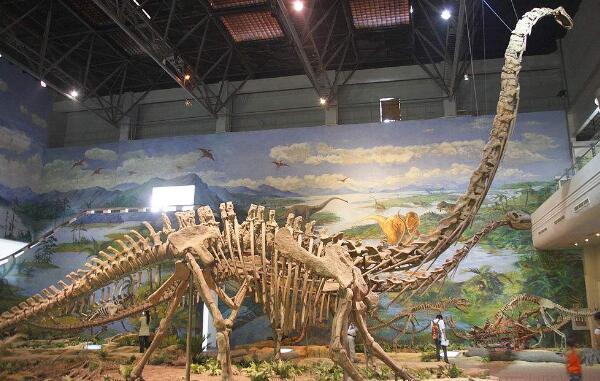 巴洛莎龙：阿根廷超巨型食草恐龙（长30米/距今2亿年前）