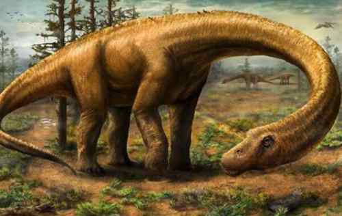 包鲁巨龙图片（长24米/距今6500万年前）