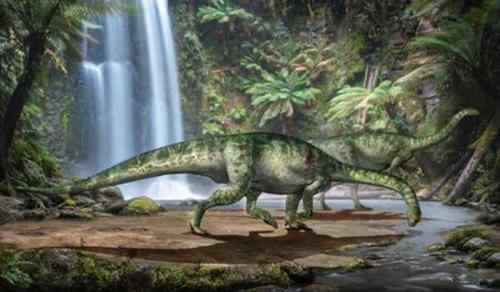包鲁巨龙图片（长24米/距今6500万年前）