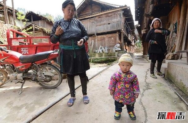 揭秘占里村换花草之谜，能控制婴儿性别的仙草(骗局)