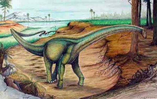 安第斯龙：阿根廷超巨型恐龙（长40米/距今9100万年前）