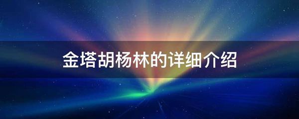 金塔胡杨林的详细介绍