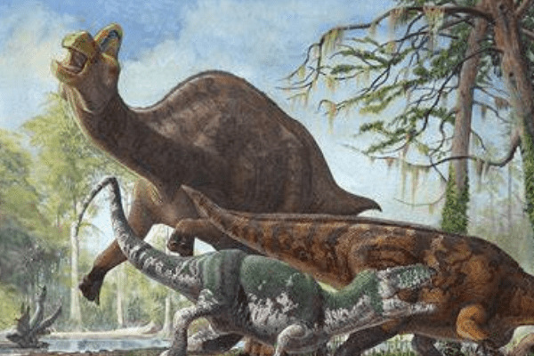 巨保罗龙:最大的赖氏龙亚科恐龙(长16米/出土于北美)