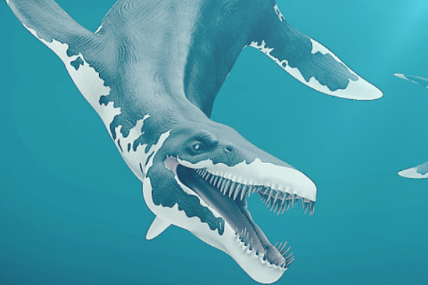 滑齿龙:欧洲大型海洋爬行类(体长6米/长有鱼鳍)