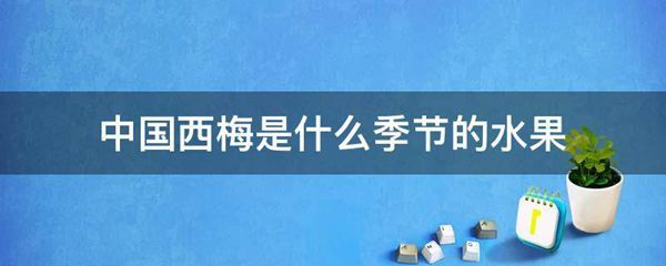 中国西梅是什么季节的水果