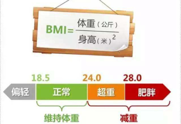 BMI是什么意思：身体质量指数(越胖指数越高)