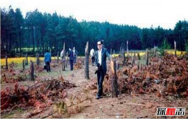 1994年贵阳空中怪车事件真相，外星人造访都溪林场摧毁400亩松树