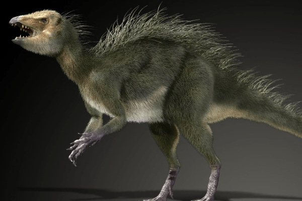 迷你杂食恐龙:夫鲁塔齿龙 身长最大75厘米(仅鸭子大小)