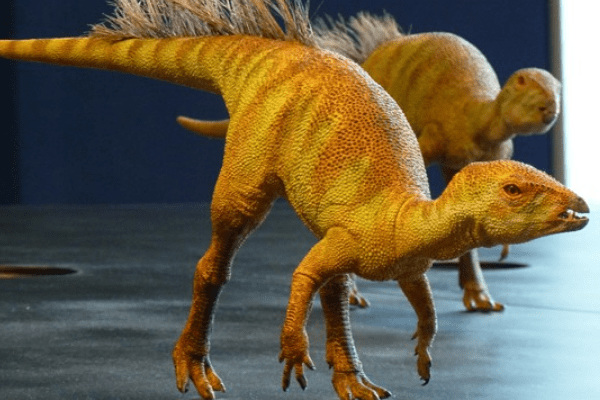 迷你杂食恐龙:夫鲁塔齿龙 身长最大75厘米(仅鸭子大小)