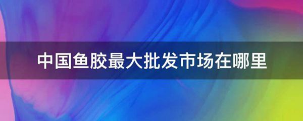 中国鱼胶最大批发市场在什么地方