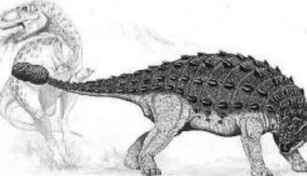 克氏龙：辽宁小型食草恐龙（长3.5米/距今9000万年前）