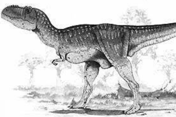 似鸟形龙:印度小型兽脚龙(长2米/处于疑名状态)