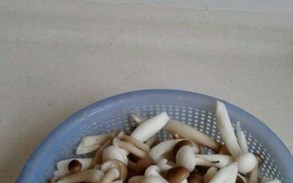 海鲜菇怎么做汤