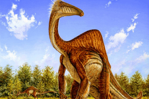 最大的似鳥恐龍:恐手龍 手臂長達2米(指爪就有25厘米)
