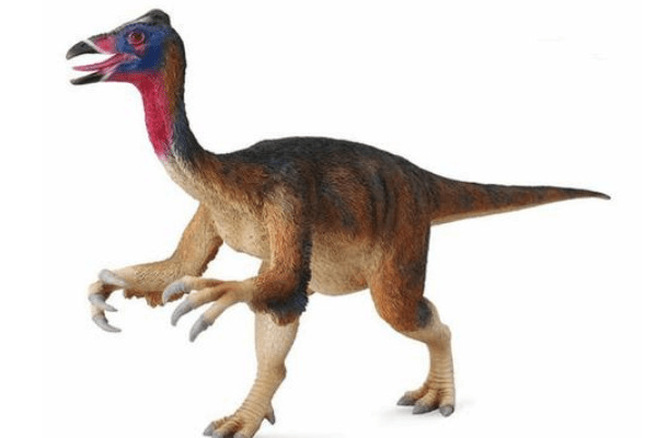 最大的似鳥恐龍:恐手龍 手臂長達2米(指爪就有25厘米)