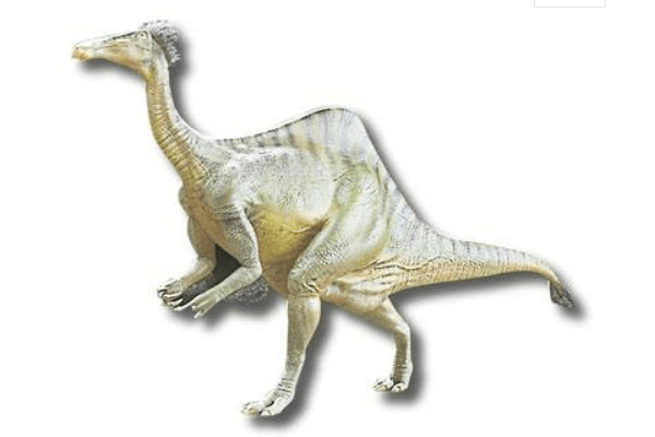 最大的似鸟恐龙:恐手龙 手臂长达2米(指爪就有25厘米)