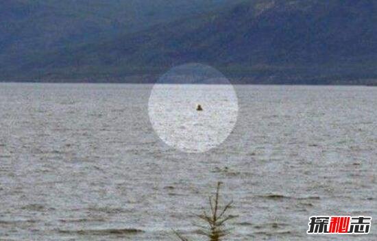 俄罗斯湖中现不明生物生吞活人，19人死不见尸(吃人水怪)