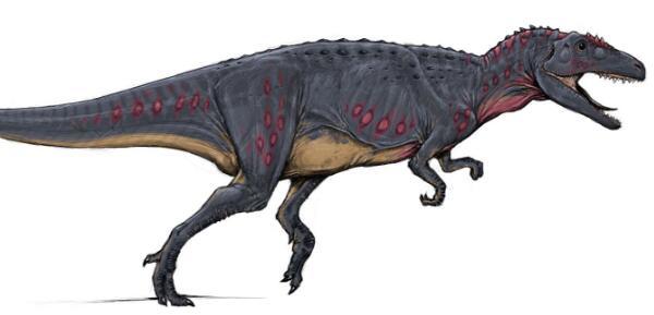 齿河盗龙：阿根廷大型食肉恐龙（长7米/距今6500万年前）