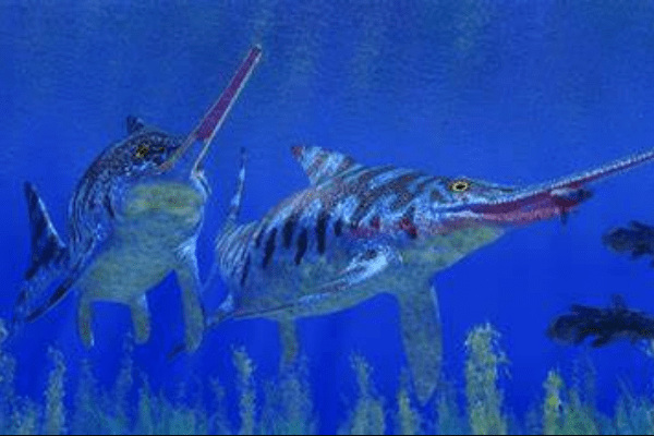 大型鱼龙恐龙：真鼻龙 上颌像剑一样长(形似现代剑鱼)