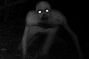 美国猎人森林拍到幽灵怪物 颇似蜘蛛侠