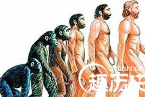 中国关于人类起源的神话故事 猕猴繁衍人类