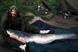  英国地区两米长最大淡水鱼巨型鲶鱼重达106斤