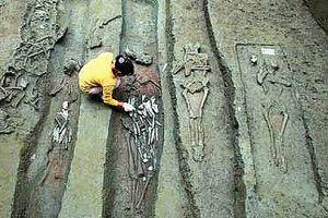 金沙遗址7座战国古墓尸骨历2500年仍血红