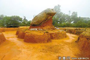 [图文]广州帽峰山旺财蟾蜍神秘现身重见天日