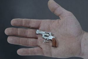 世界上最小的左轮手枪