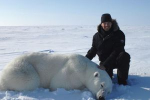  世界上最冷的工作 在北极寻北极熊的踪迹
