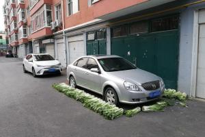 长春一小区现绿色蔬菜停车位 用的都是大白菜