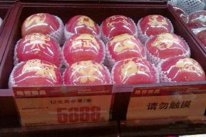 南京现天价苹果 12生肖苹果套盒售价5888元