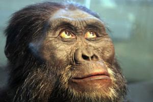  世界上最早出现的人类 南方古猿现已灭绝