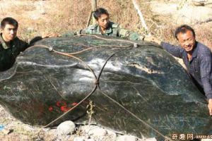 [图文]新疆石河子身藏5.2吨巨型玛纳斯碧玉