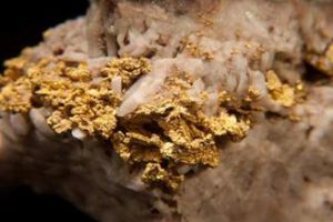  科学家发现点石成金的细菌 把离子转变为金纳米粒子