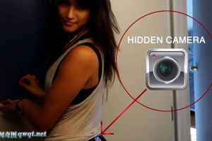 美国纽约一女子臀部藏摄像机实验:59人偷看(组图)