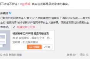杨澜发声明维权 澄清外籍身份纯属谣言