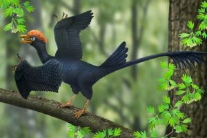  1.2亿年前热河鸟长着两个尾巴 结构非常独特