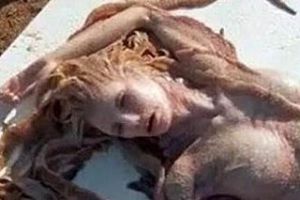   澳洲海滩渔民发现美人鱼尸体 神秘传说再度引爆