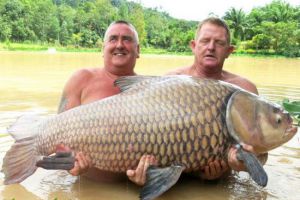 英垂钓者14年后钓到同一条巨大鲤鱼 重达50公斤