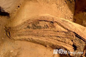 秦兵马俑坑首次发现最完整弓弩 有重大考古收获