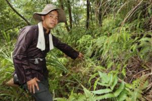  村民上山耕地，在野草中发现奇怪的蛋，拿回家村民很是新奇