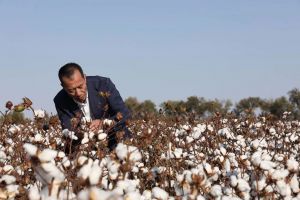 这位农民10年只做一朵棉花，他的公司年销30亿