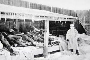 日本731做了多少丧尽天良的事？