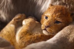 真人版《狮子王》首发预告片，刚出生的小辛巴把人萌化