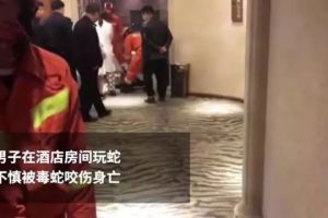 奇闻！男子用毒蛇威胁女孩发生关系 事后洗澡被咬身亡！