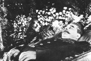 斯大林去世之后，所有的社会主义国家领导人都去了，只有一人没去