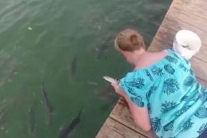 女子水面徒手喂鱼，却不料跳上来个“大家伙”，让她后悔不已！