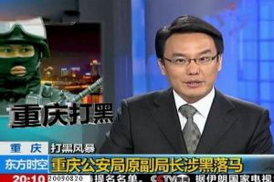独家：知名主持人张羽已从央视离职，跳槽互联网公司任副总裁